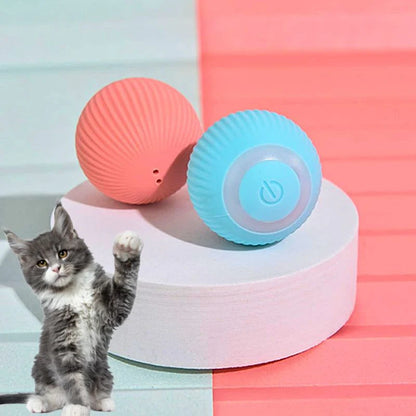 Magic ball for cats