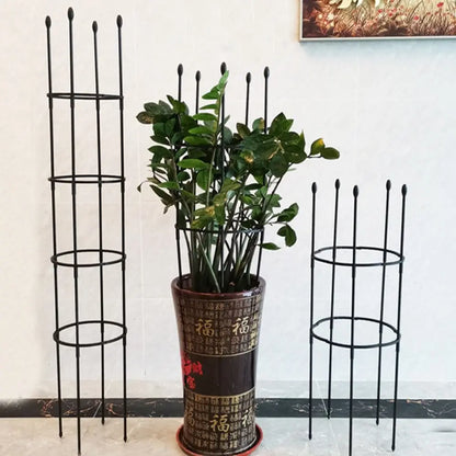 🌿Support pour plantes grimpantes, adapté aux tomates, roses, fleurs 🌹