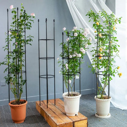 🌿Support pour plantes grimpantes, adapté aux tomates, roses, fleurs 🌹