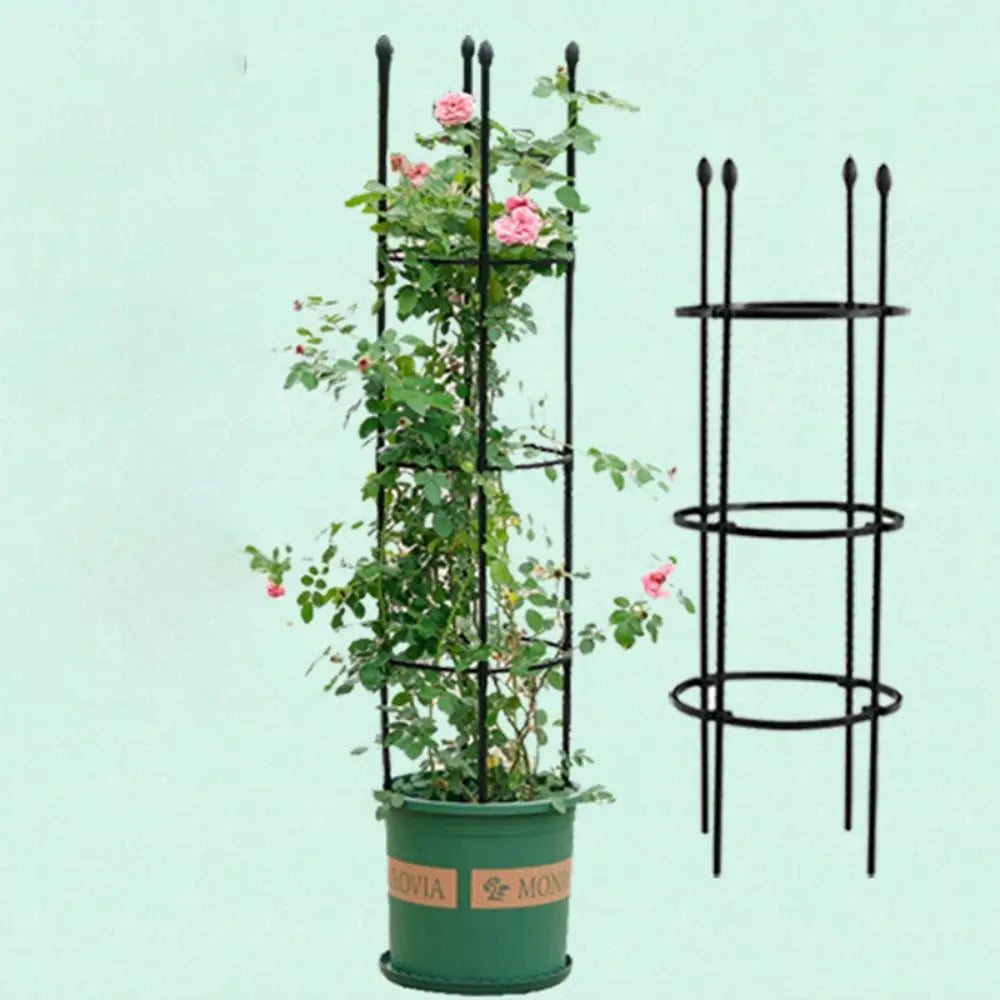 🌿Support pour plantes grimpantes, adapté aux tomates, roses, fleurs 🌹