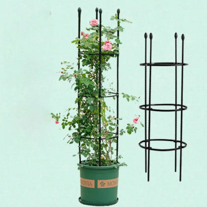 🌿Support pour plantes grimpantes, adapté aux tomates, roses, fleurs 🌹