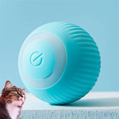 Magic ball for cats