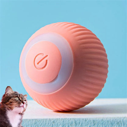 Magic ball for cats
